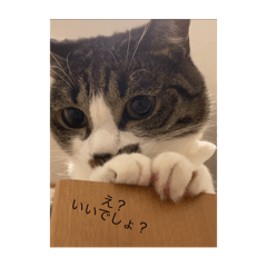 junko_20240904193038