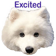 Lovely Dog Samoyed in words Vol.5