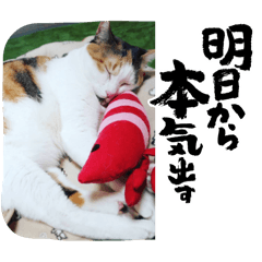 saiko_20240904212649