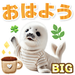 [BIG]毎日使えるあざらし