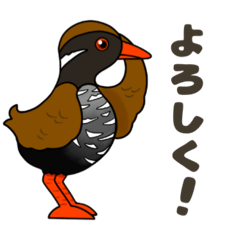 YAMBARUKUINA bird-daily talk1