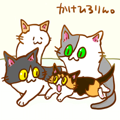 [Cat]Kake,Hiro,Rin,and Koharu[Cat]