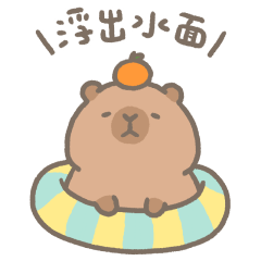 I am chubby capybara3