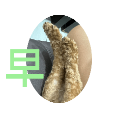 雞腳比