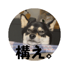 honon_20240906093514