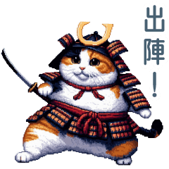 Daily use samurai cat