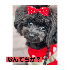 totonosuke_20240905185454