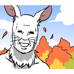 A rabbit finds hope in autumn(No text)