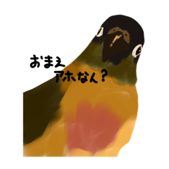 関西弁ウロコインコ①