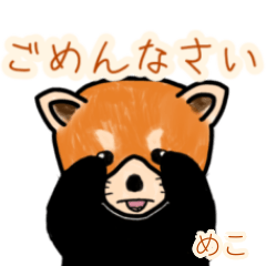 Meko's lesser panda