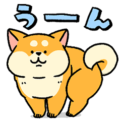 Shiba Inu Muchi 9