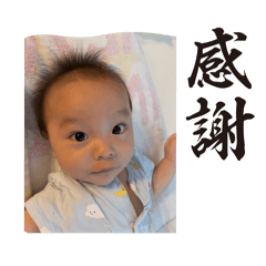 kokoko_20240905232939