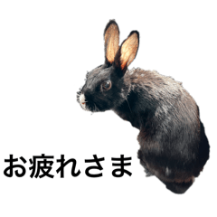 iwgp721_20240906104118