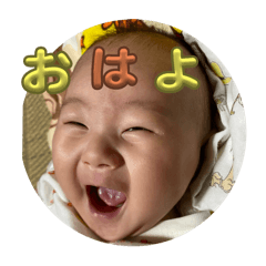 Tsubaki_20240906113919