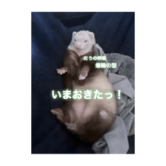 komedau_20240906004925