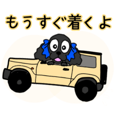 NOAKO's Daily life