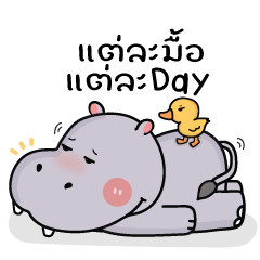 หมูยอ ฮิปโปตัวอ้วน : จิกกัดเบาๆ