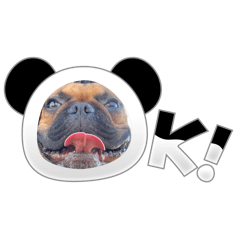 garp_20240906230910