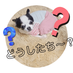 yukaringorira_20240907204710