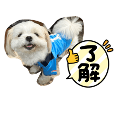 reneki_20240907185021