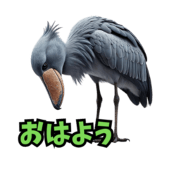 Daily Conversation Stamps of Shoebill