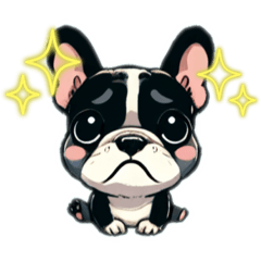 french bulldog_1