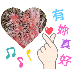 梅姐自制貼圖