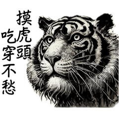 Mr. Tiger 2