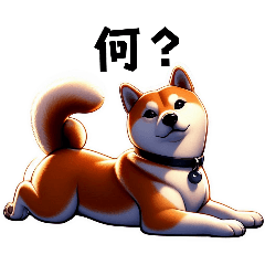 Shiba Inu cute pose