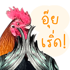 ไก่สุดซ่าผจญภัย! V.2