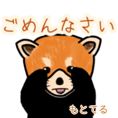 Mototeru's lesser panda