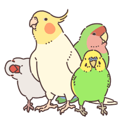 Various domesticated birds