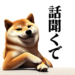 Fat Shiba Inu that agitates