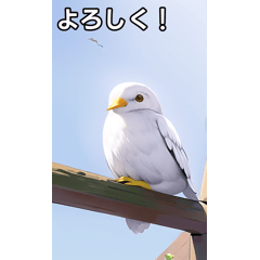 white birds love to talk