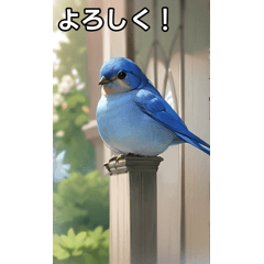 bluebirds love to talk