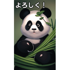 talking panda sticker