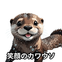 Adorable Otter Expressions