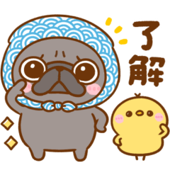 毎日使える♡パグちゃん - LINE スタンプ | LINE STORE 毎日使える♡パグちゃん - LINE スタンプ | LINE STORE