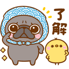 pug chan sticker everyday