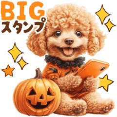 Puppy Toy Poodle Big Sticker |Autumn|