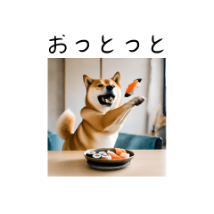 Sushi Shibainu