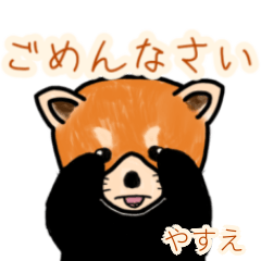 Yasue's lesser panda