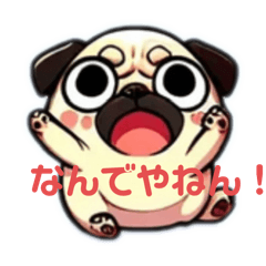 Pugs life (Kansai dialect)