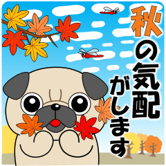 Pop-up! Pug Pug "Signs of Autumn"