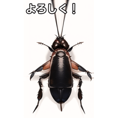 [Insect stamp] Cockroach