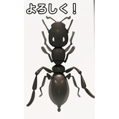 [Insect stamp] Ant