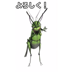 [Insect stamp] Grasshopper