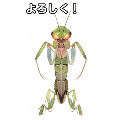 [Insect stamp] Praying mantis