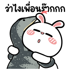 ต่ายไฮเปอร์ : ว่าไงเพื่อนร๊ากกก