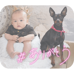 Ibuki 3rd edition (7-9 months old)